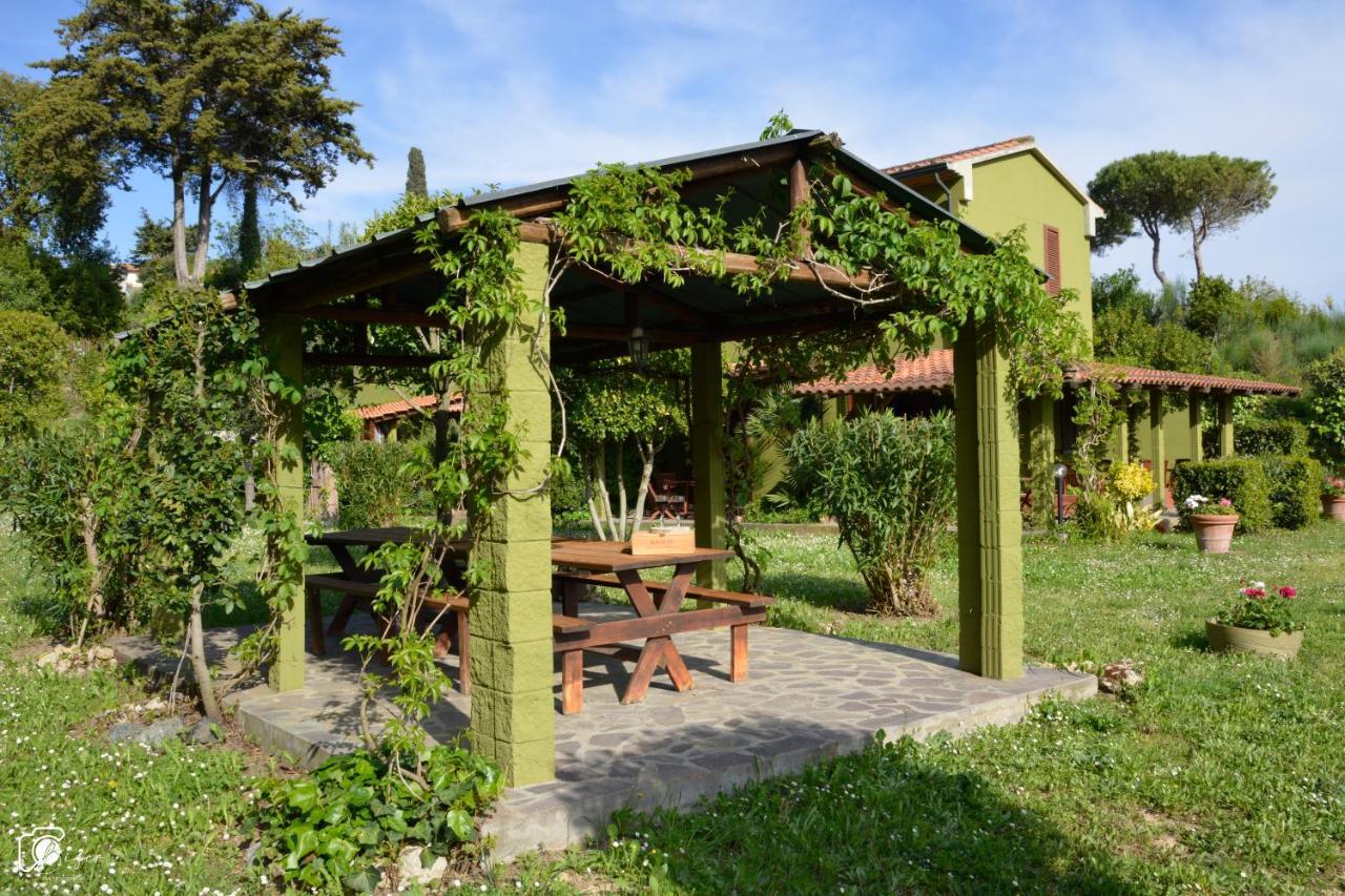 Apartment Casa Montescudaio