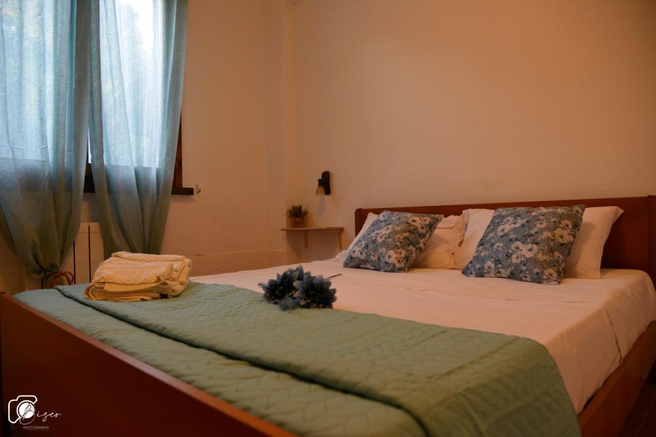 Apartment Casa *