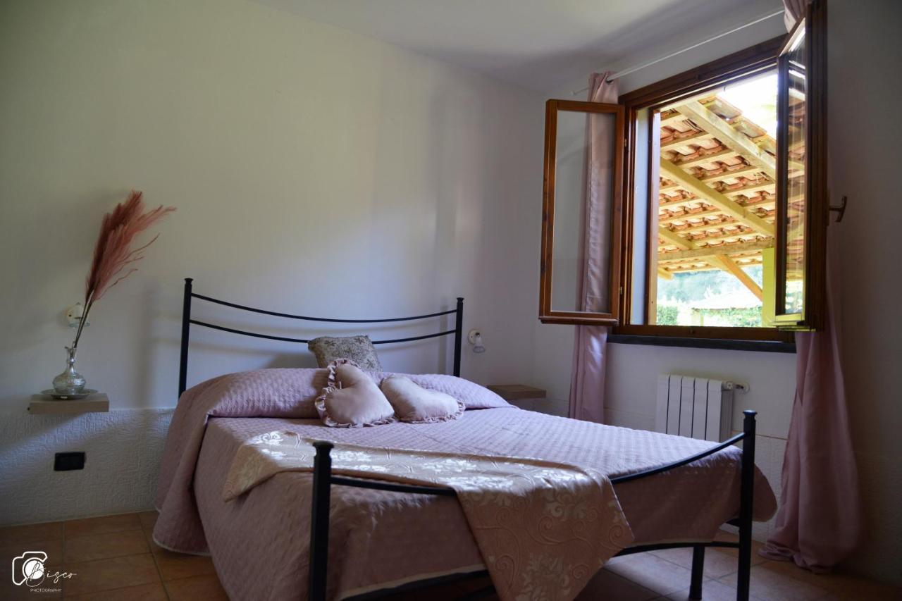 Apartment Casa