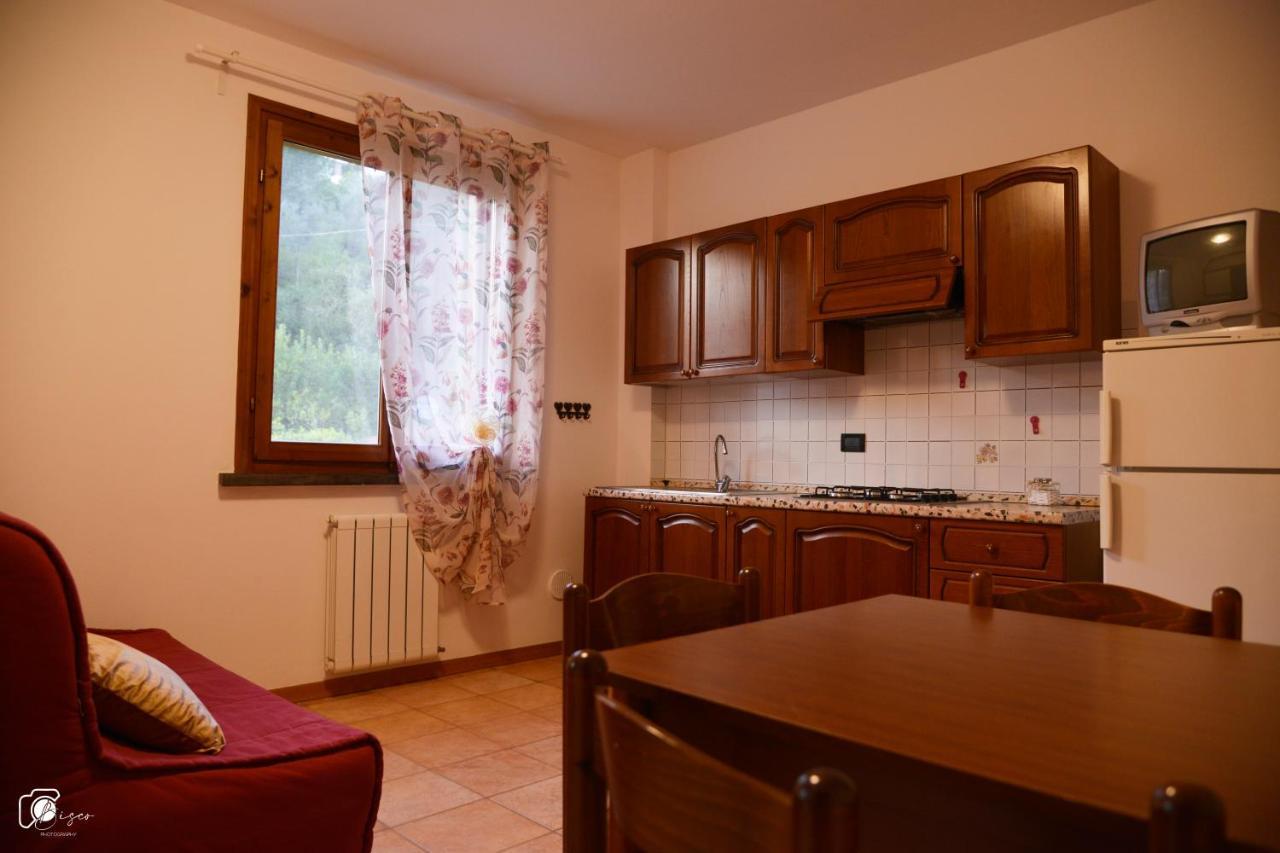 Apartment Casa Montescudaio