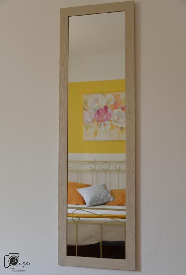 Apartment Casa