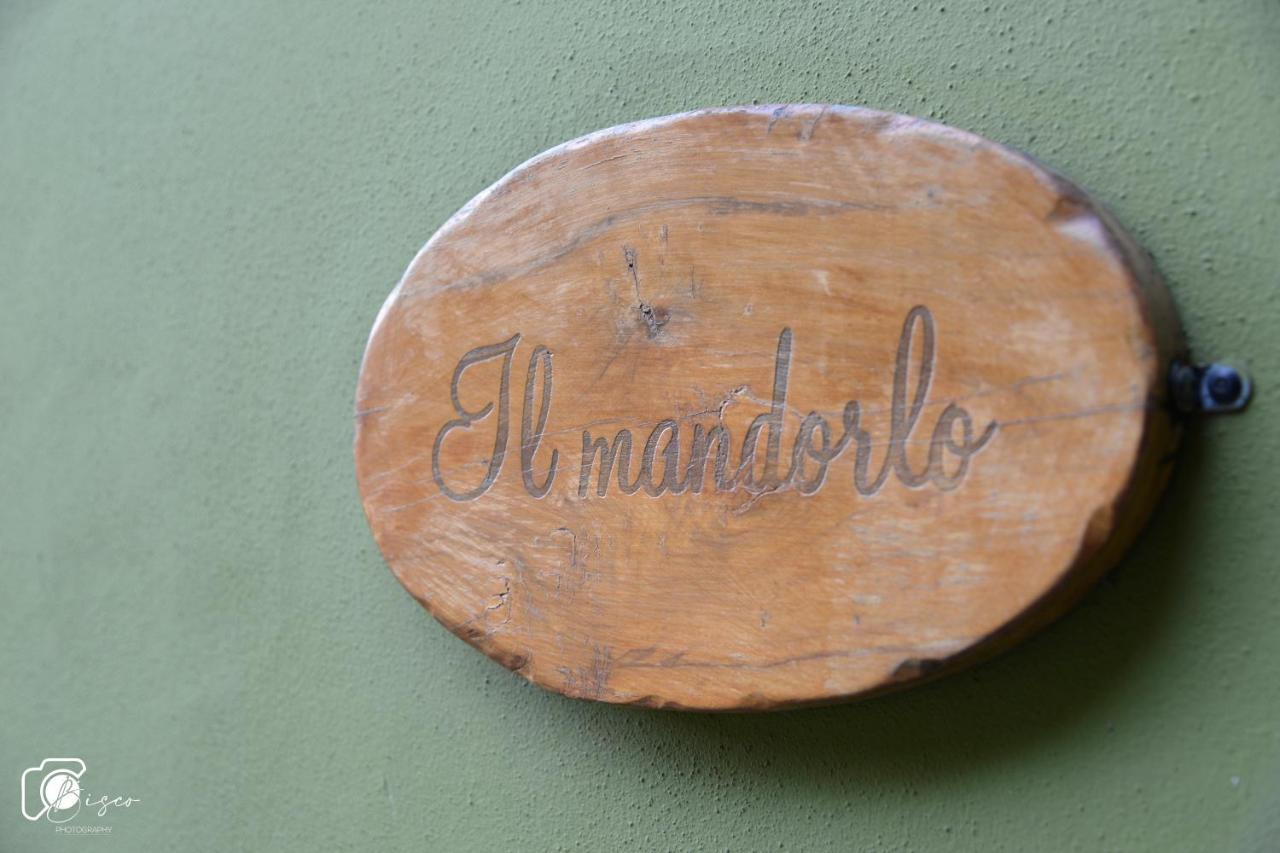 Casa Apartment Montescudaio